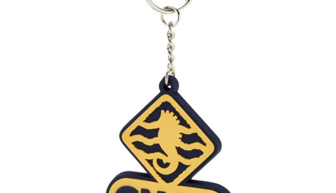 98287-CNAB KEYRING